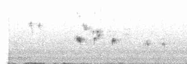 White-throated Dipper - ML613553200