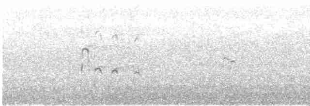Bec-d'ibis tibétain - ML613553612