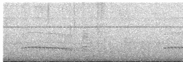 Todirostre zostérops - ML613553645