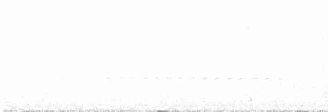 Common Babbler - ML613553809