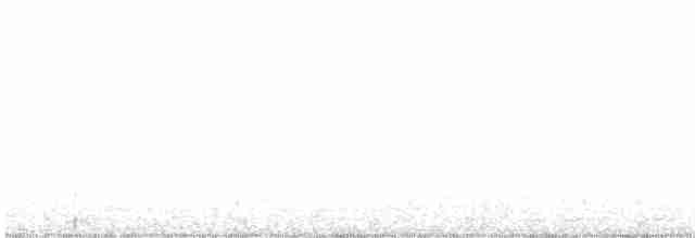 Chevêchette brune - ML613555008