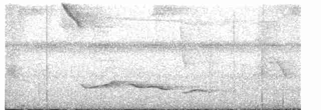 Зернолуск білогорлий - ML613556751