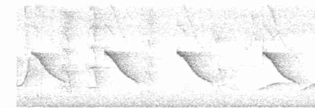 langhaleskredderfugl - ML613560009