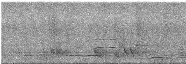Little Spotted Kiwi - ML613560900