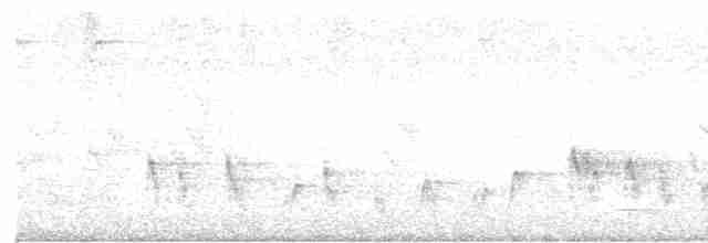 Bulbul Cejiblanco - ML613561079