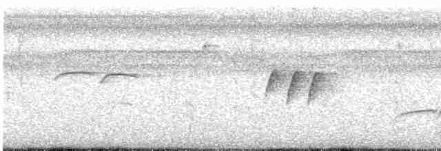 Boz Başlı Sinekkapan - ML613565098