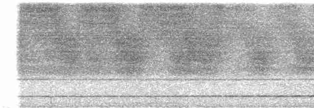 Short-tailed Antthrush - ML613565109