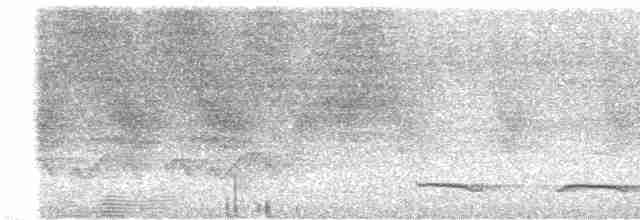 Atlantik Kara Gerdanlı Trogonu - ML613565206
