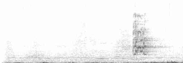 Slender-billed Parakeet - ML613571704