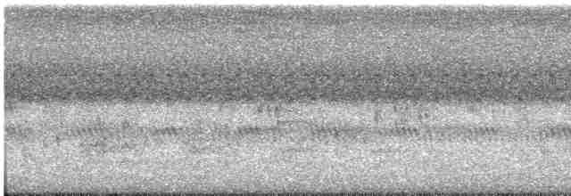 Gray-cheeked Thrush - ML613572532