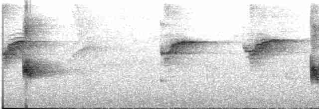 Пересмішник білобровий - ML613573552
