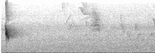 Chalk-browed Mockingbird - ML613573553
