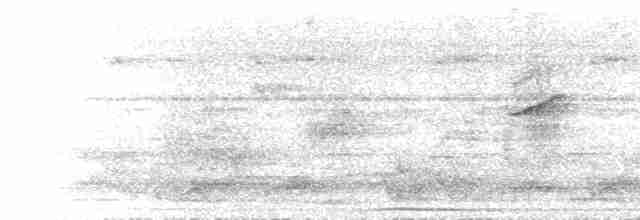 Окулярник малокейський - ML613575318