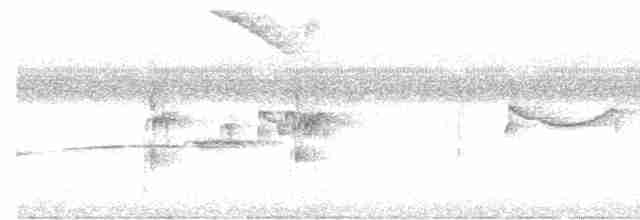 Lineated Woodpecker - ML613575404