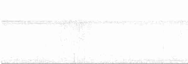 tyranovec vrbový - ML613575742