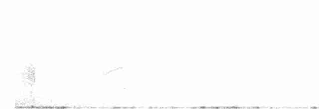 Loggerhead Shrike - ML613578590