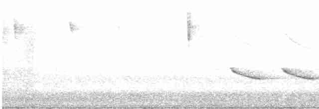 Black-crested Titmouse - ML613578628
