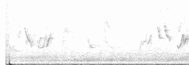 Common Yellowthroat - ML613583523