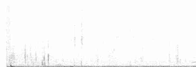 Усатая совка - ML613588920