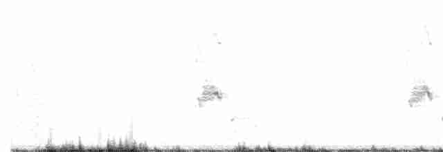 Loggerhead Shrike - ML613589097