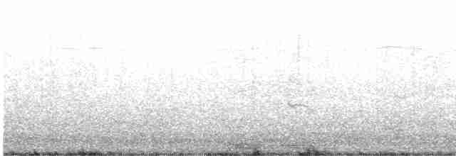 Rose-ringed Parakeet - ML613589506