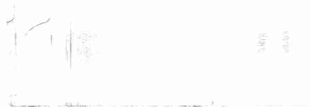 Gri Göğüslü Çilardıcı - ML613591318