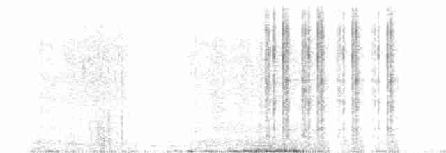 Вилохвістка плямиста - ML613591363
