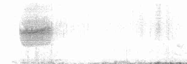 Пятнистая вилохвостка - ML613591364
