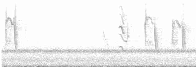 オーストラリアツバメ - ML613591632