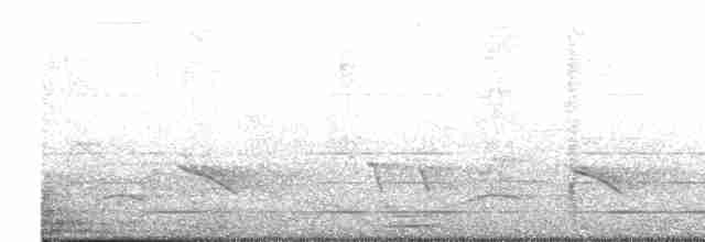 Трупіал плямистоволий - ML613593971