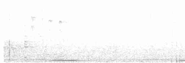 holub pestrokřídlý - ML613595358