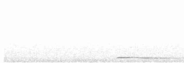 Tasmanya Bubuğu - ML613595382