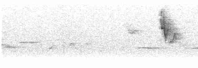 雙斑綠柳鶯 - ML613595911