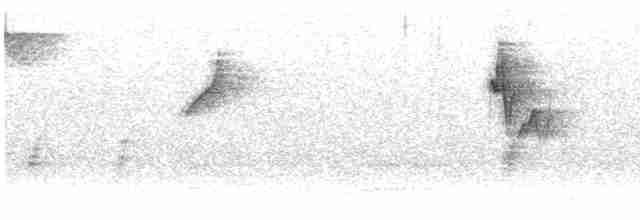 雙斑綠柳鶯 - ML613595914