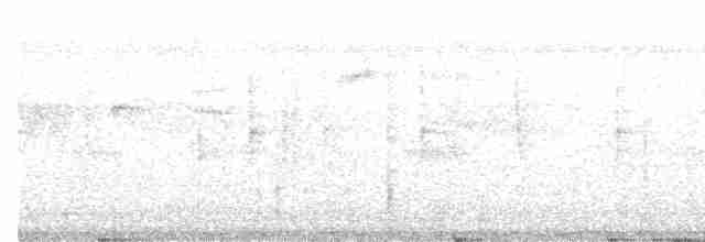 svartkondor - ML613595965