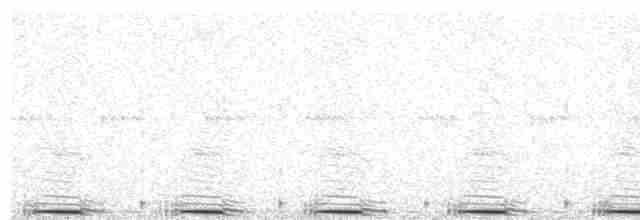Триперстка чорногуза - ML613596431
