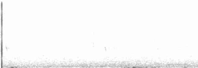 Южноамериканская поганка - ML613596589