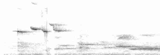 Myzomèle écarlate - ML613596840