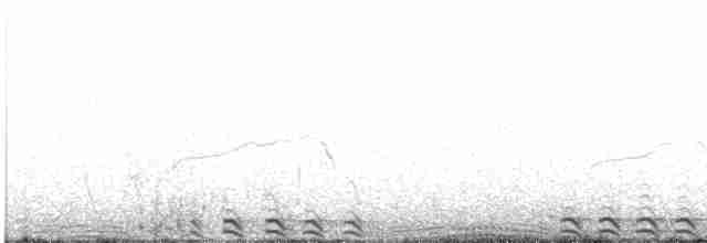 Гигантская лысуха - ML613597028