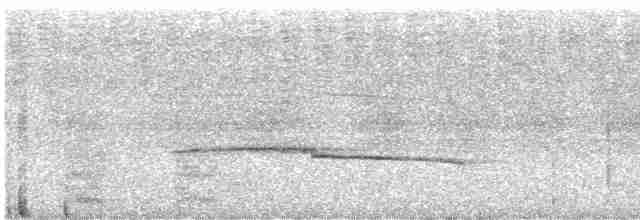 Длиннохвостая батара - ML613600153