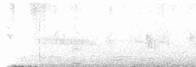 Neuseeland-Fächerschwanz - ML613601159