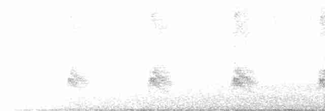 Subantarctic Snipe - ML613601246