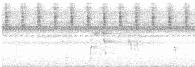 arassari hnědouchý - ML613601282