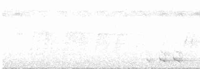 Trogón Pechinaranja - ML613601621