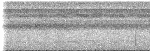 Светлогорлый древолаз (guttatoides/dorbignyanus) - ML613603197