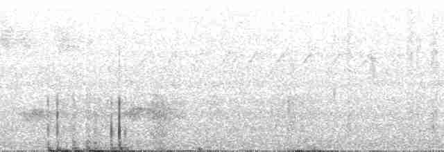 Esmer Taçlı Tiranulet - ML61361