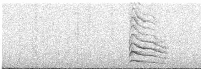 Дятел-смоктун білочеревий - ML613612507