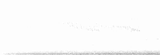 Bohemian Waxwing - ML613613052
