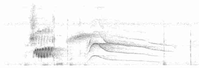 Tinamou tataupa - ML613613117
