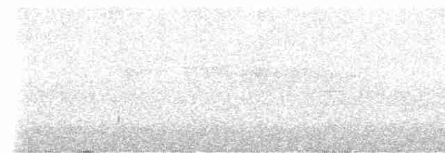 Trogon rosalba - ML613618571